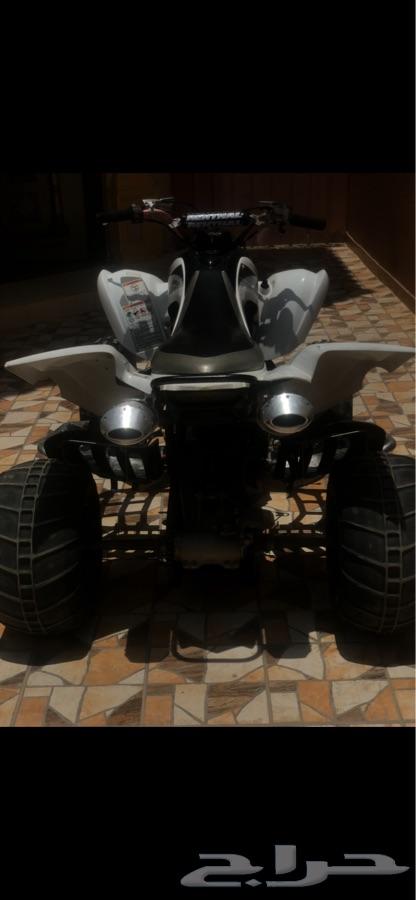 RAPTOR R Special editionرابتر