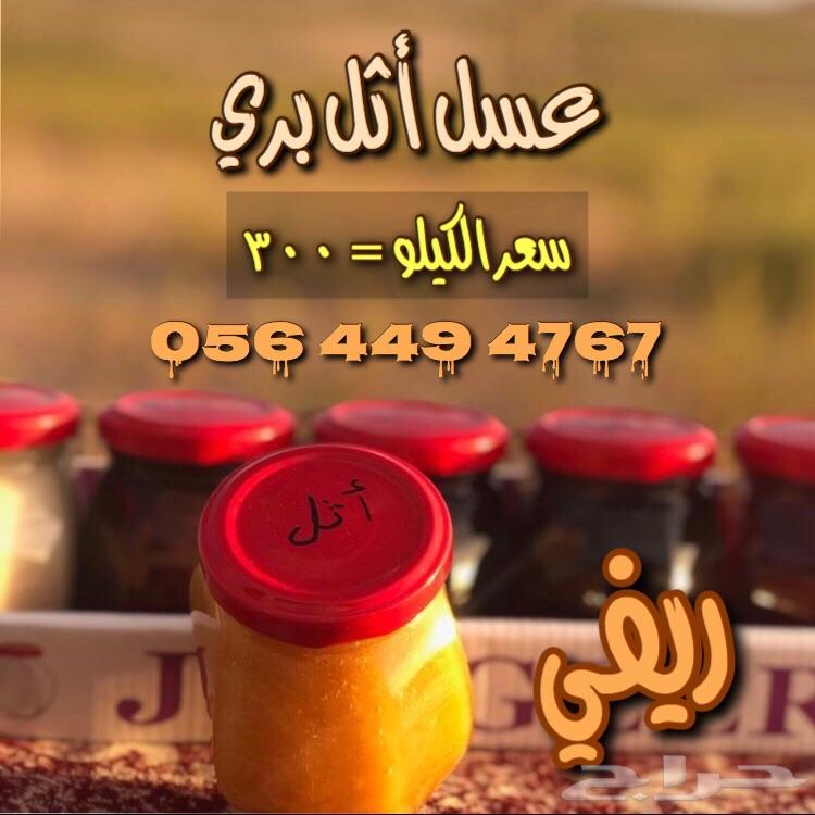 12 كيلو عسل سدر جبلي بنجابي قريب البلدي ب800