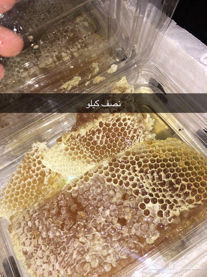 عسل مزارع تبوك وعسل بري على الذمه
