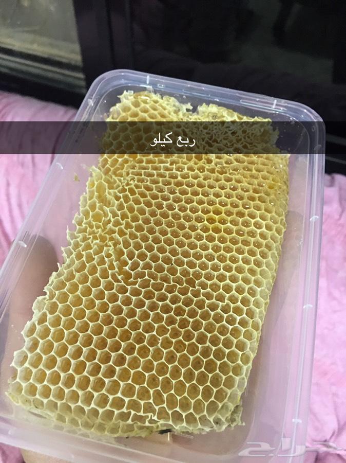 عسل مزارع تبوك وعسل بري على الذمه