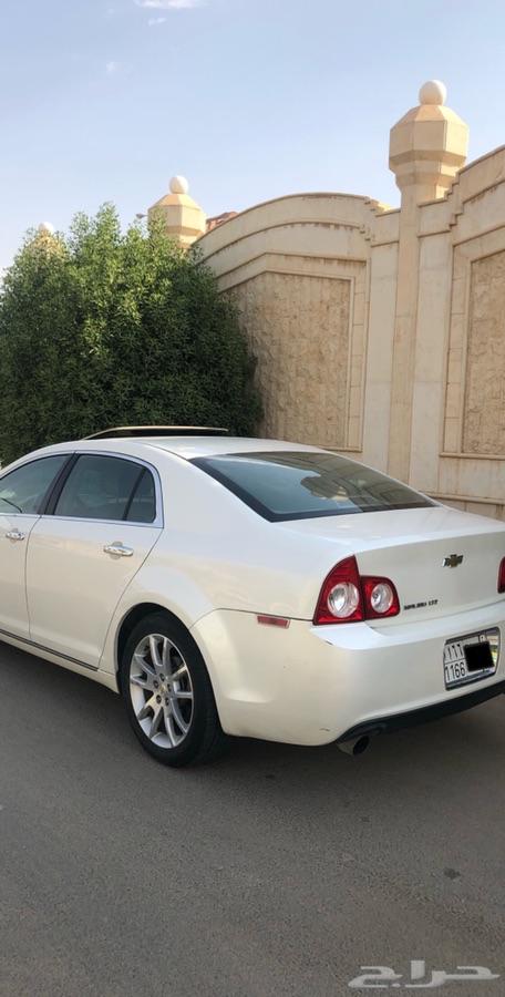 القصيم