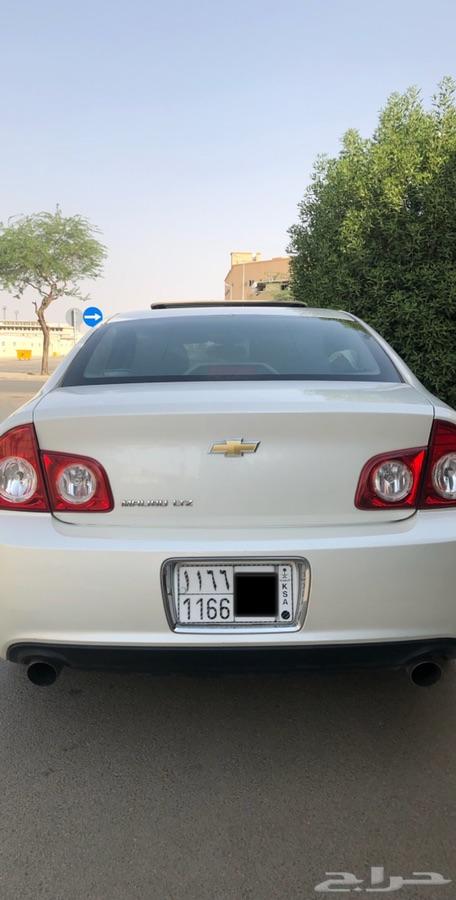 القصيم