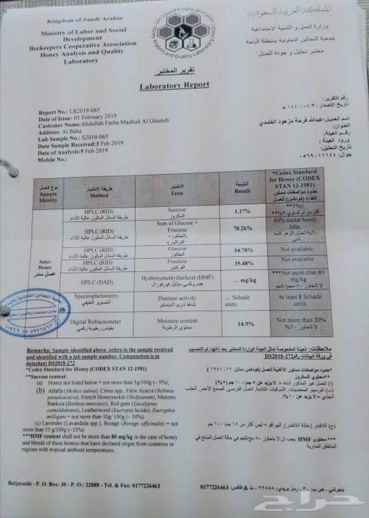 عسل السدر البشاوري الجبلي