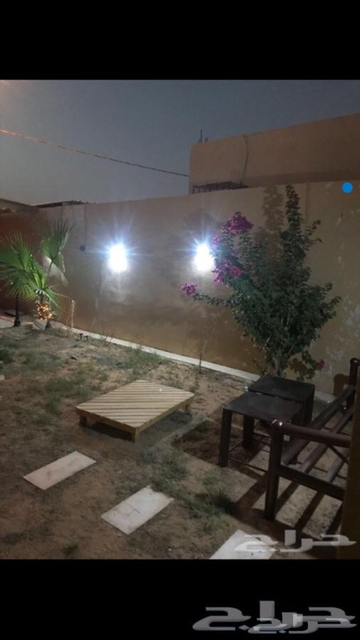وفر فاتورتك باستخدام لمبات طاقة شمسية20
