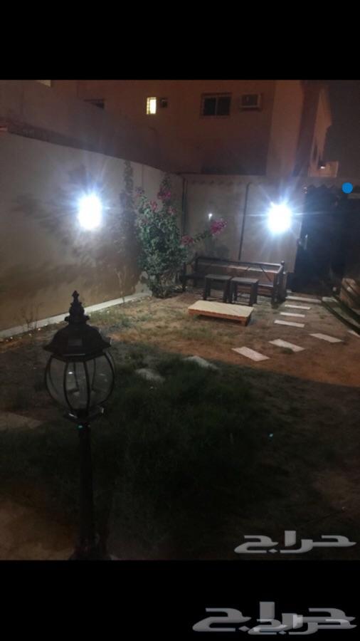 وفر فاتورتك باستخدام لمبات طاقة شمسية20