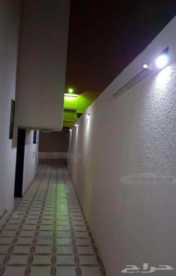 وفر فاتورتك باستخدام لمبات طاقة شمسية20