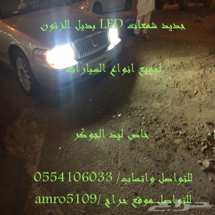 بديل الزينون ليد