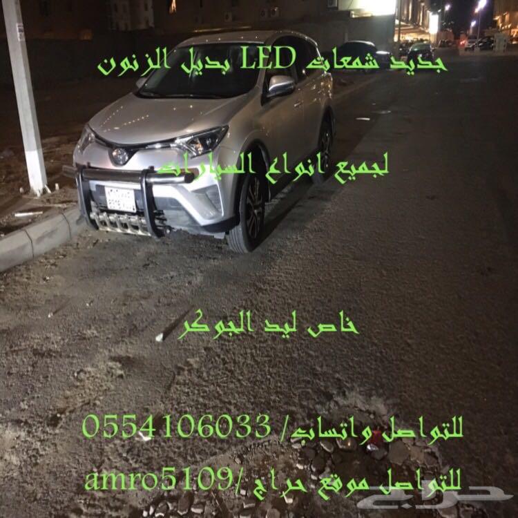 بديل الزينون ليد