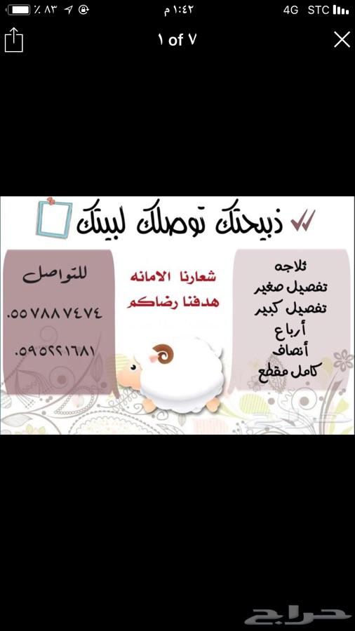 ذبايح طليان شاهد محادثات الزباين حياكم