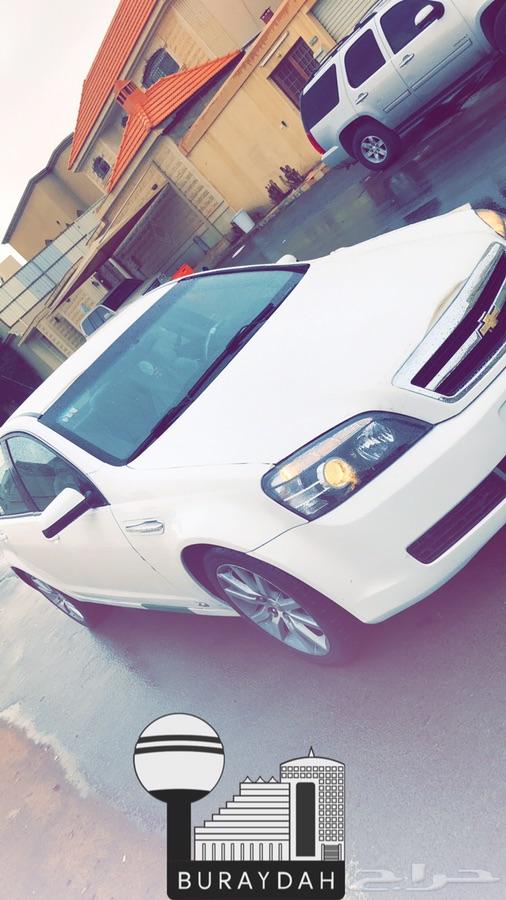كابريس 2014 ابيض