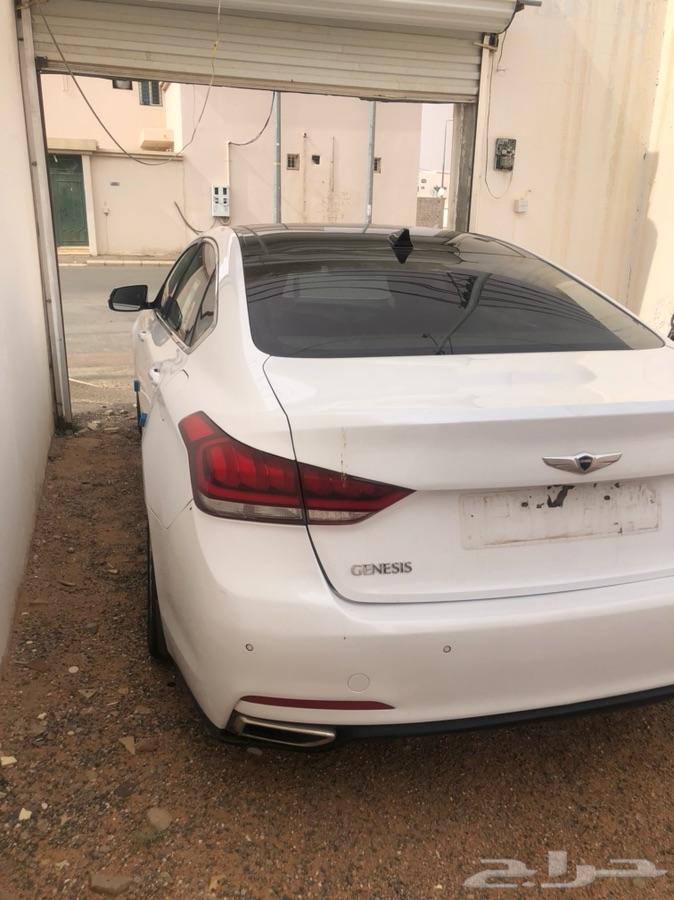 جنسس