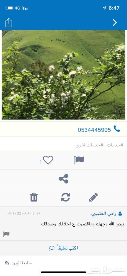 سائقين في جورجيا ب 50 دولار باليوم