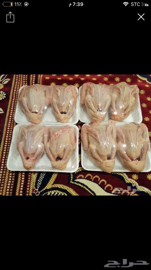 فروخ حمام فرنسي لاحم موقع رنيه