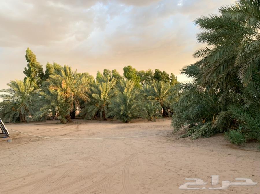 مزرعة للبيع بالقرب من الوعبة