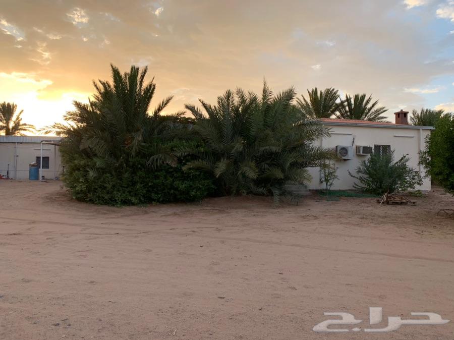 مزرعة للبيع بالقرب من الوعبة