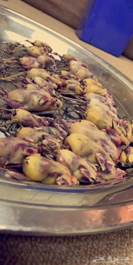 مزرعة للآجار بالخوير