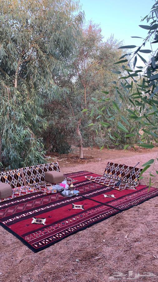 مزرعة للآجار بالخوير