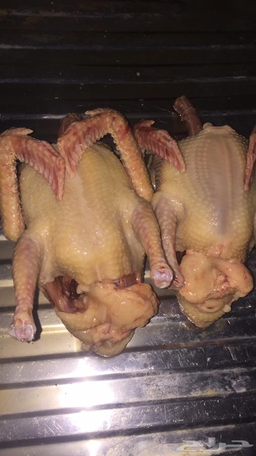 فروخ حمام لاحم فرنسي بسابيس