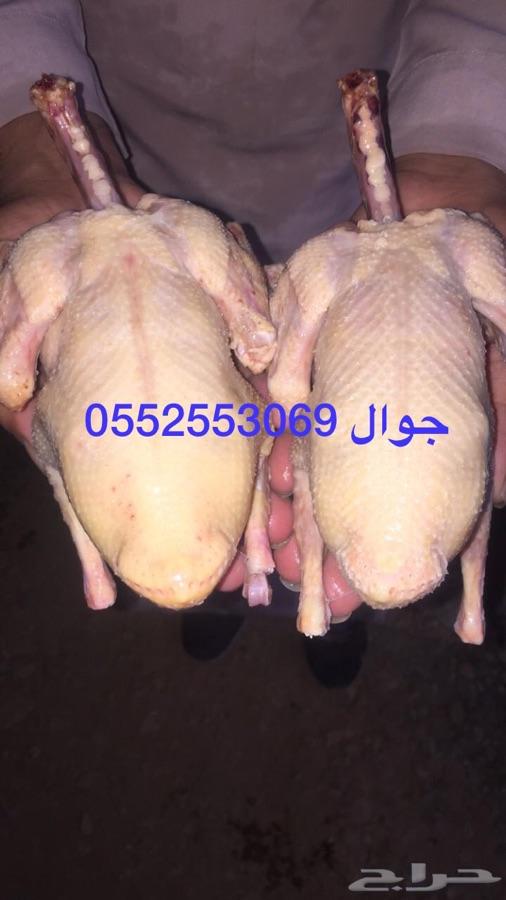 فروخ حمام لاحم فرنسي بسابيس