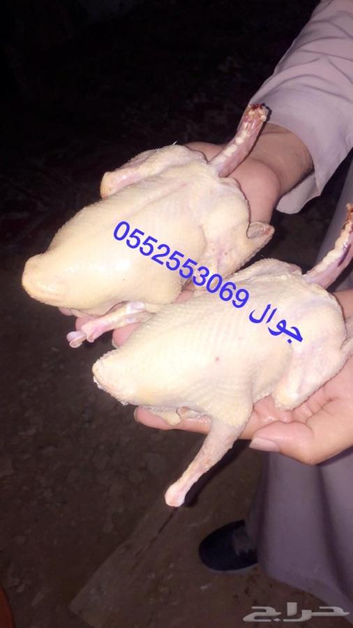 فروخ حمام لاحم فرنسي بسابيس