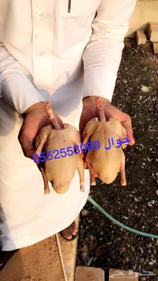 فروخ حمام لاحم فرنسي بسابيس