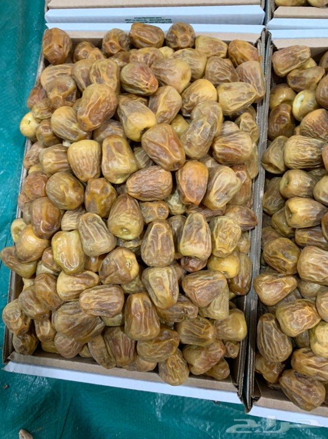 القصيم
