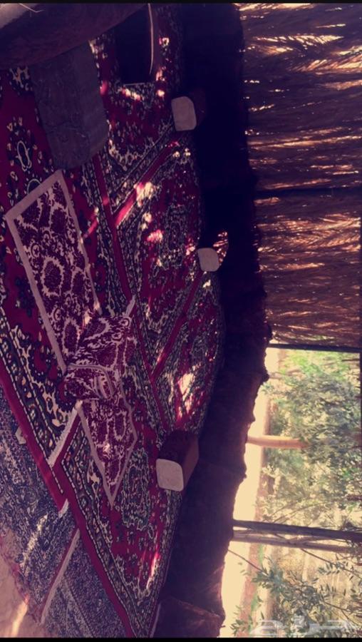مزرعة للبيع او للبدل
