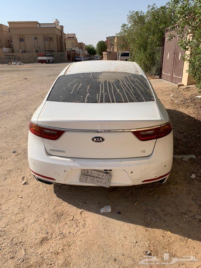 كادينزا 2017
