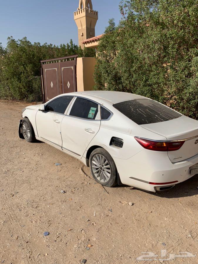 كادينزا 2017