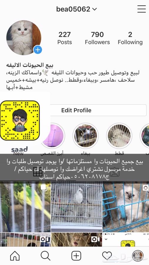 مرسول وا توصيل طلبات دخل الخميس وخارجها
