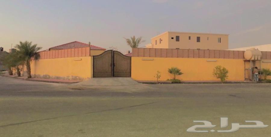 استراحة للإيجار اليومي - حي الامانة704