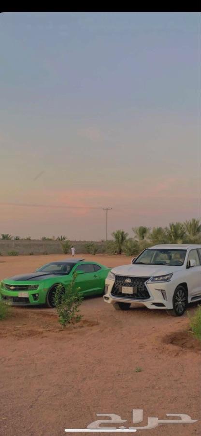 الرياض