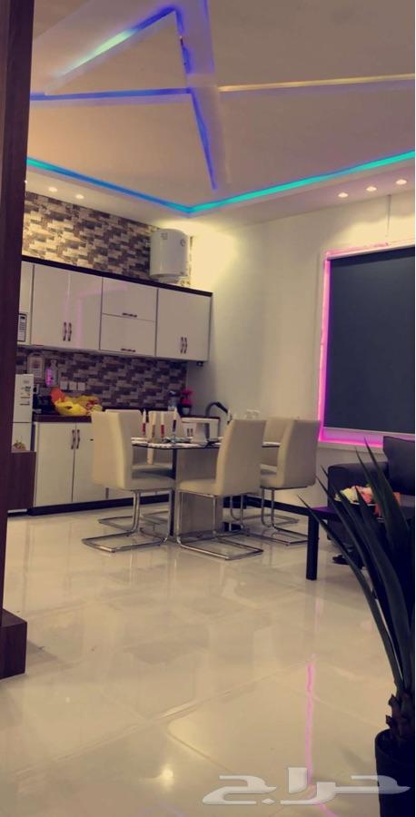 استراحة وشالهات طرابزون