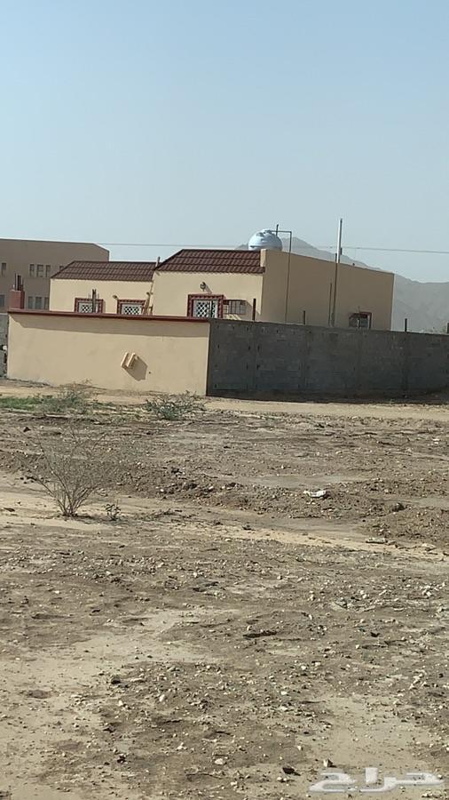 ارض للبيع في محايل عسير حي المقاعد