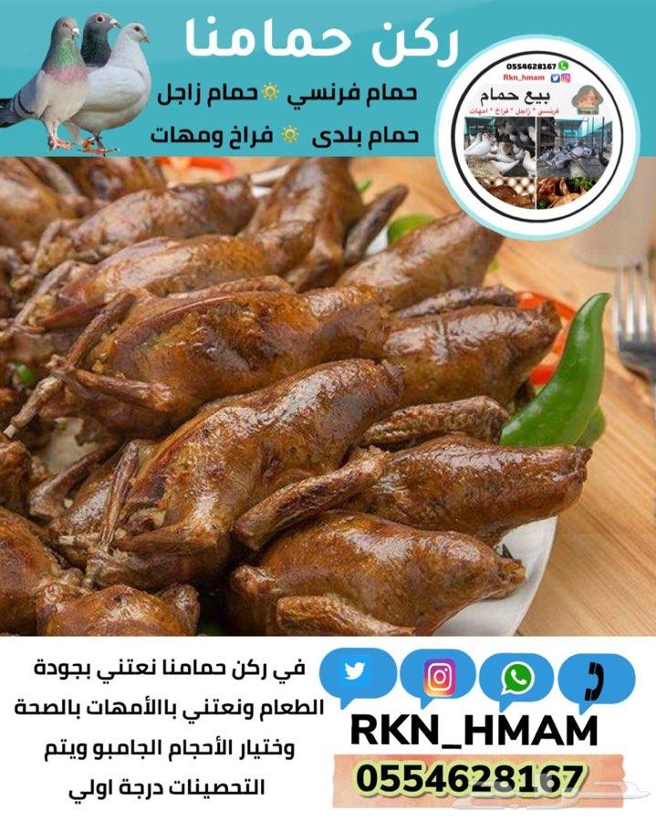 بيع فروخ حمام فونسي و زاجل