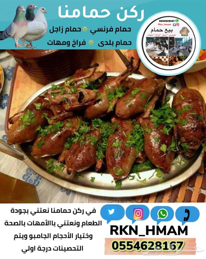 بيع فروخ حمام فونسي و زاجل