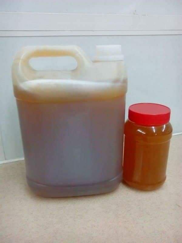 عسل سدر جبلي اصلي