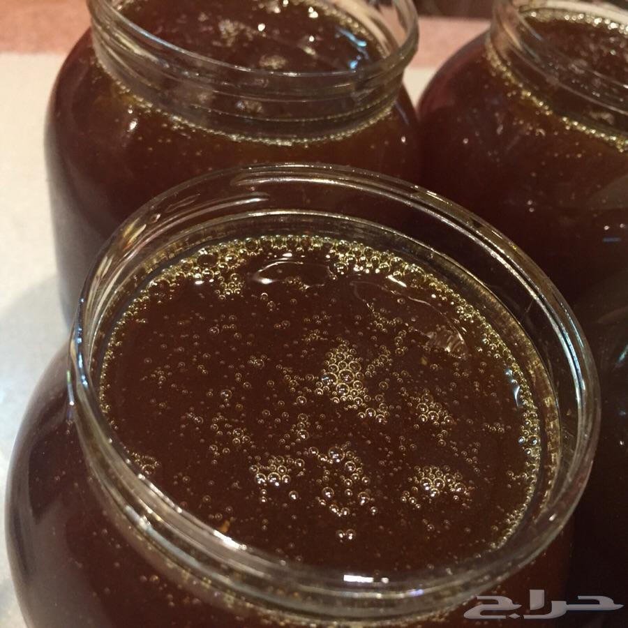 عسل سدر جبلي اصلي