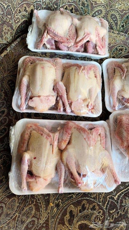 فروخ حمام فرنسي لاحم
