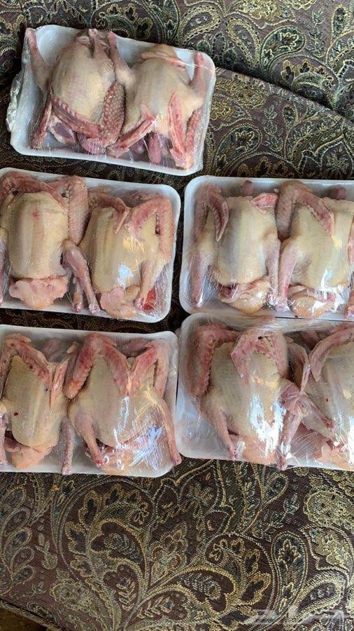 فروخ حمام فرنسي لاحم
