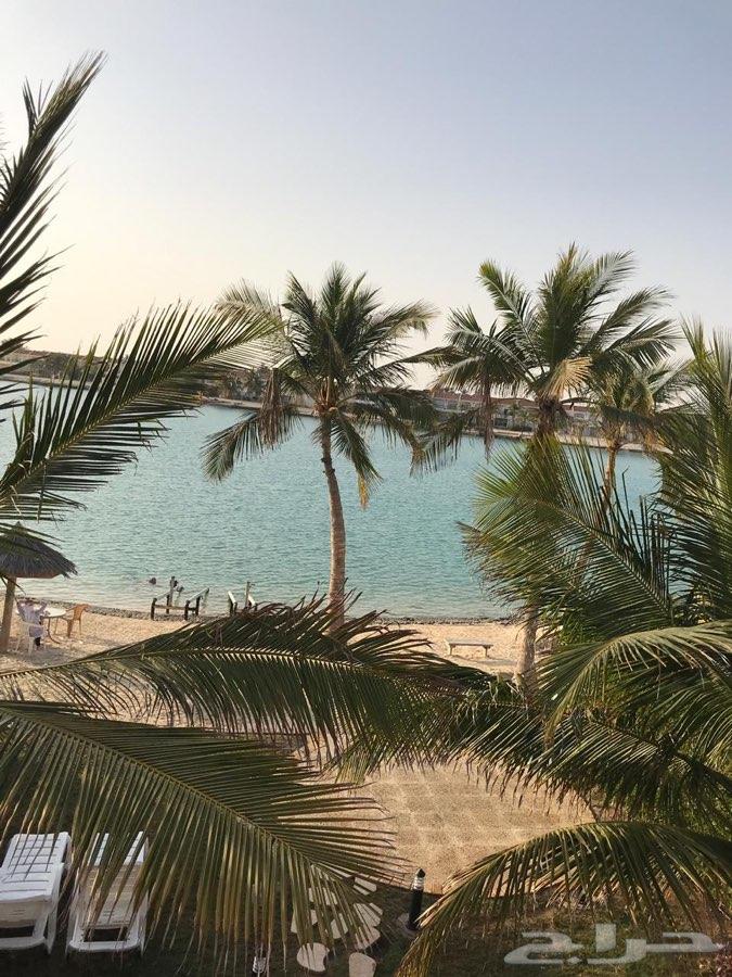 فلل وشاليهات دره العروس