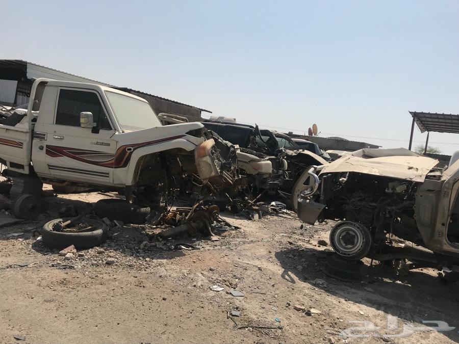 مندوب تشاليح المدينة المنورة