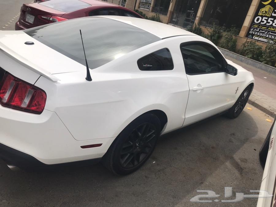 موستنج 2012 ابيض بريميوم
