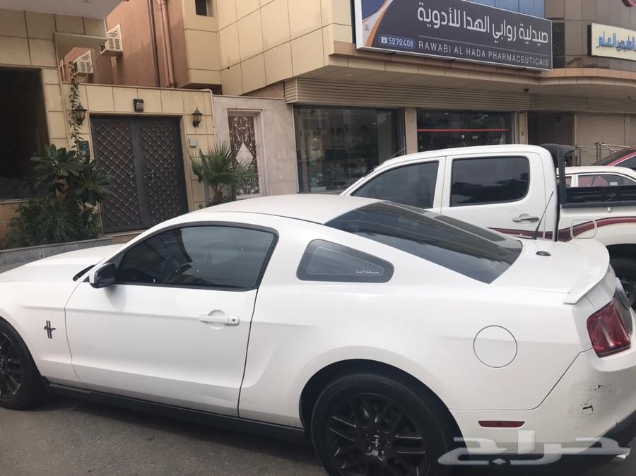 موستنج 2012 ابيض بريميوم