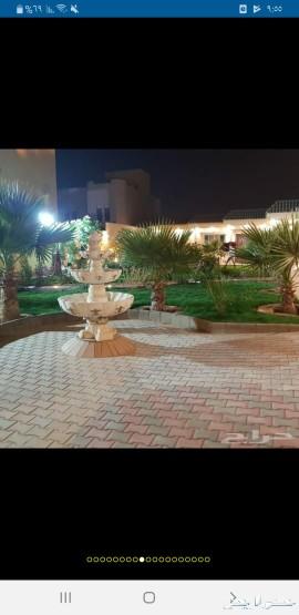 استراحه للايجار