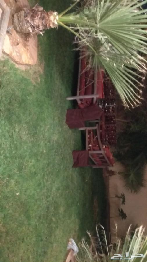 استراحه للايجار