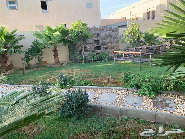 استراحه للايجار