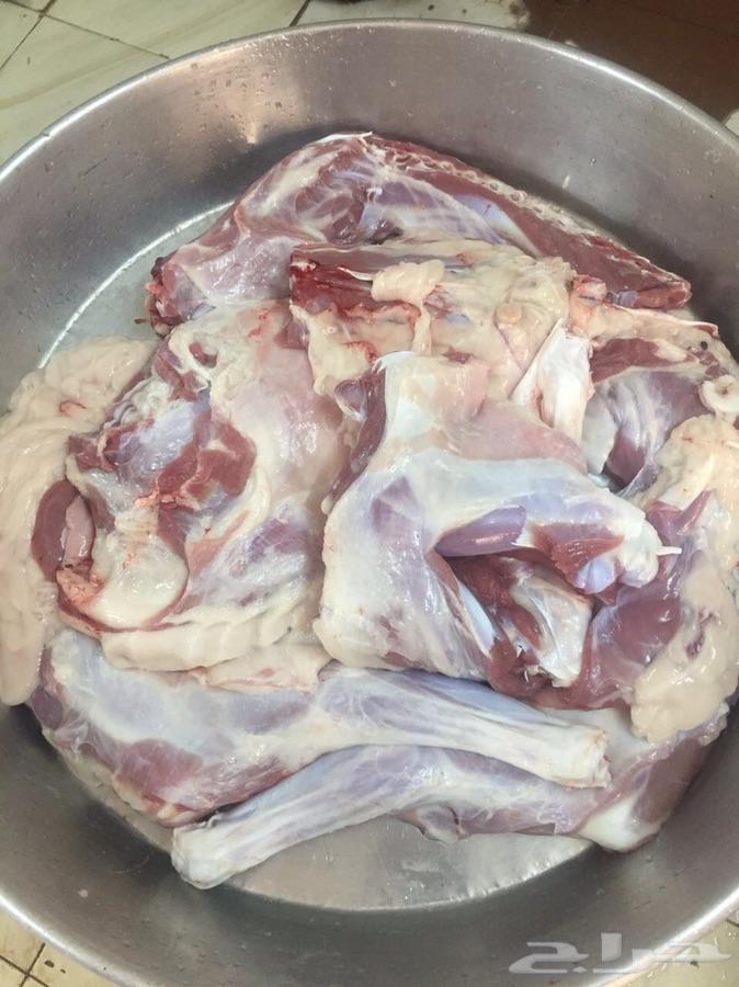 طليان وتيوس مع الذبح والتوصيل