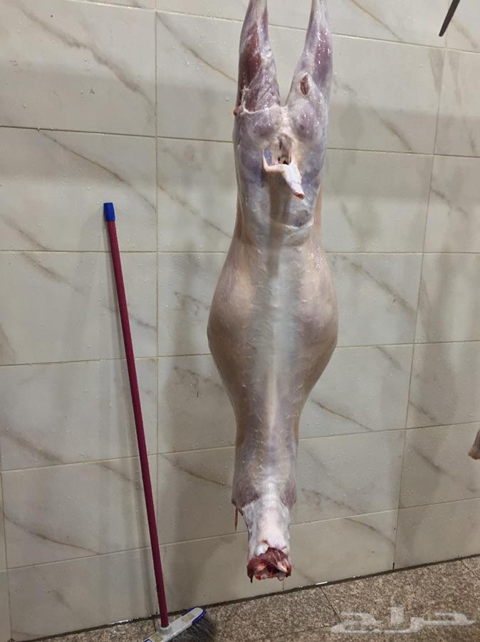 طليان وتيوس مع الذبح والتوصيل