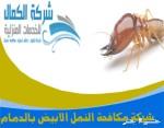 شركة مكافحة النمل الابيض وابادته ورش الدفان